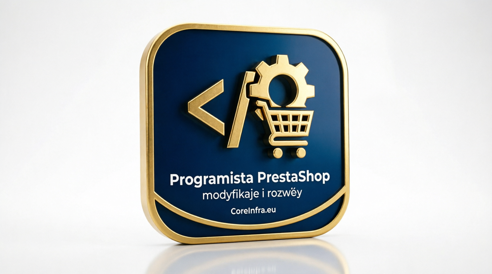 Programista PrestaShop – indywidualne modyfikacje i rozwój sklepu